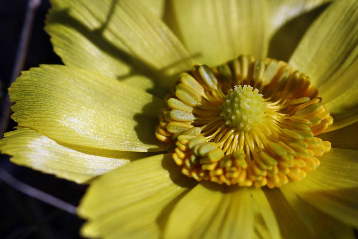 IMG_2013_04_15_00007742_phm2_Bildgr��e �ndern