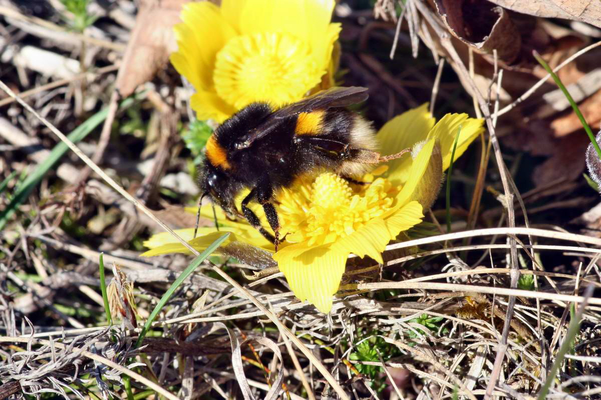 IMG_2013_04_15_00007783_phm2_Bildgr��e �ndern