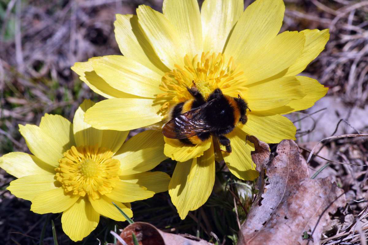 IMG_2013_04_15_00007830_phm2_Bildgr��e �ndern