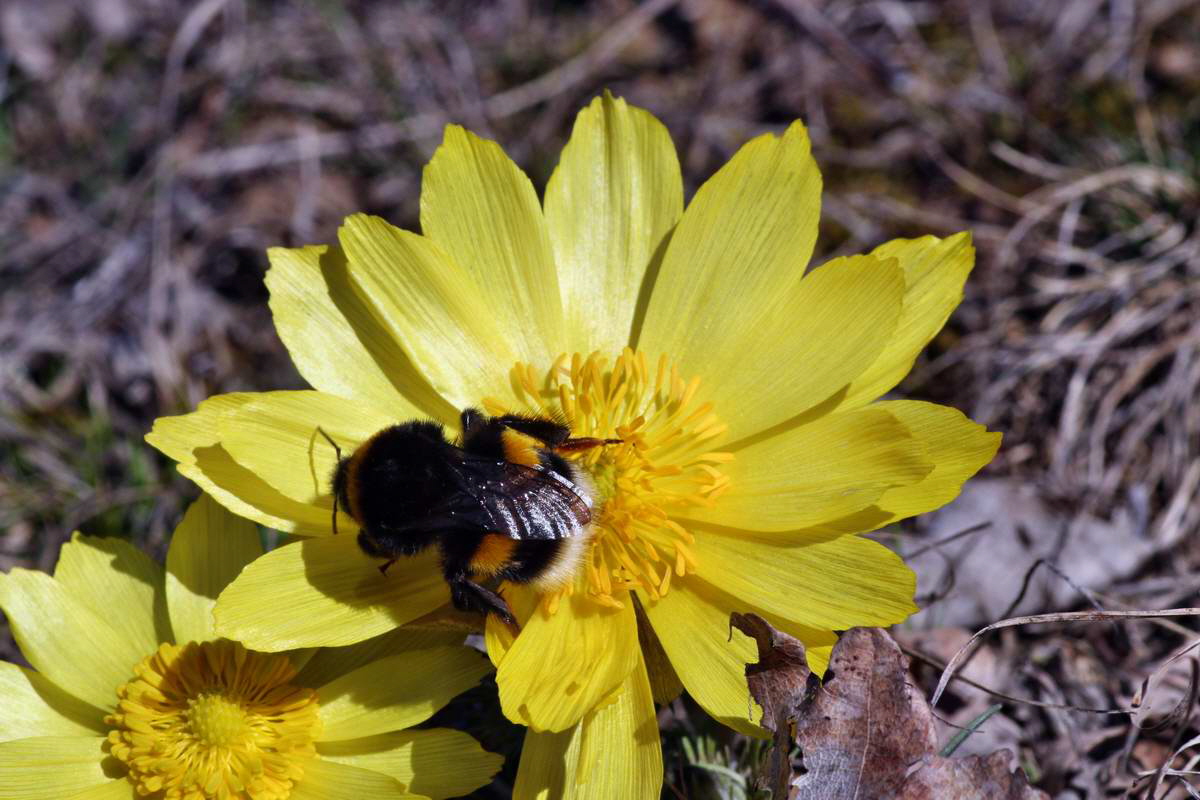 IMG_2013_04_15_00007859_phm2_Bildgr��e �ndern