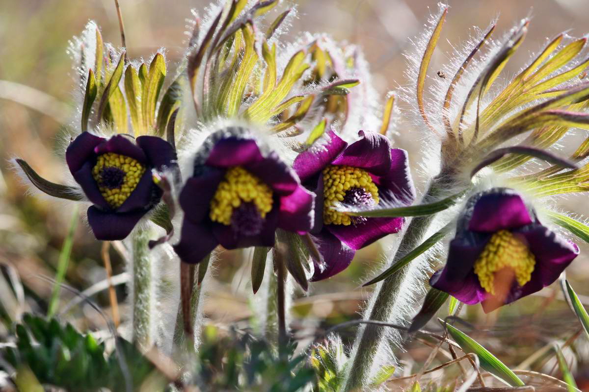 IMG_2013_04_15_00007930_phm2_Bildgr��e �ndern