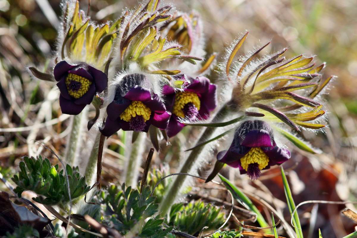 IMG_2013_04_15_00007959_phm2_Bildgr��e �ndern