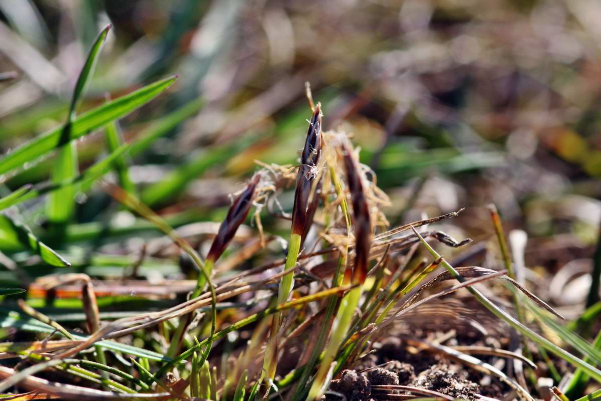 IMG_2013_04_15_00007964_phm2_Bildgr��e �ndern