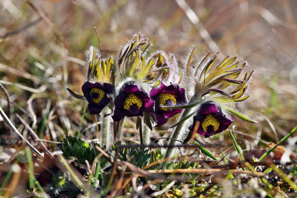 IMG_2013_04_15_00007971_phm2_Bildgr��e �ndern