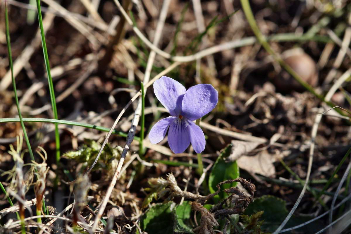 IMG_2013_04_15_00007976_phm2_Bildgr��e �ndern