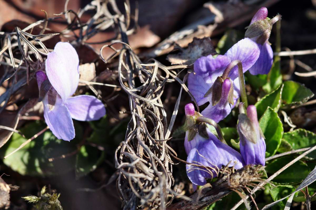 IMG_2013_04_15_00007979_phm2_Bildgr��e �ndern