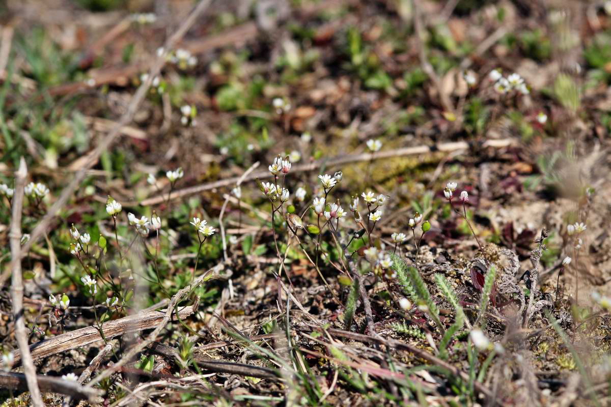 IMG_2013_04_15_00008012_phm2_Bildgr��e �ndern