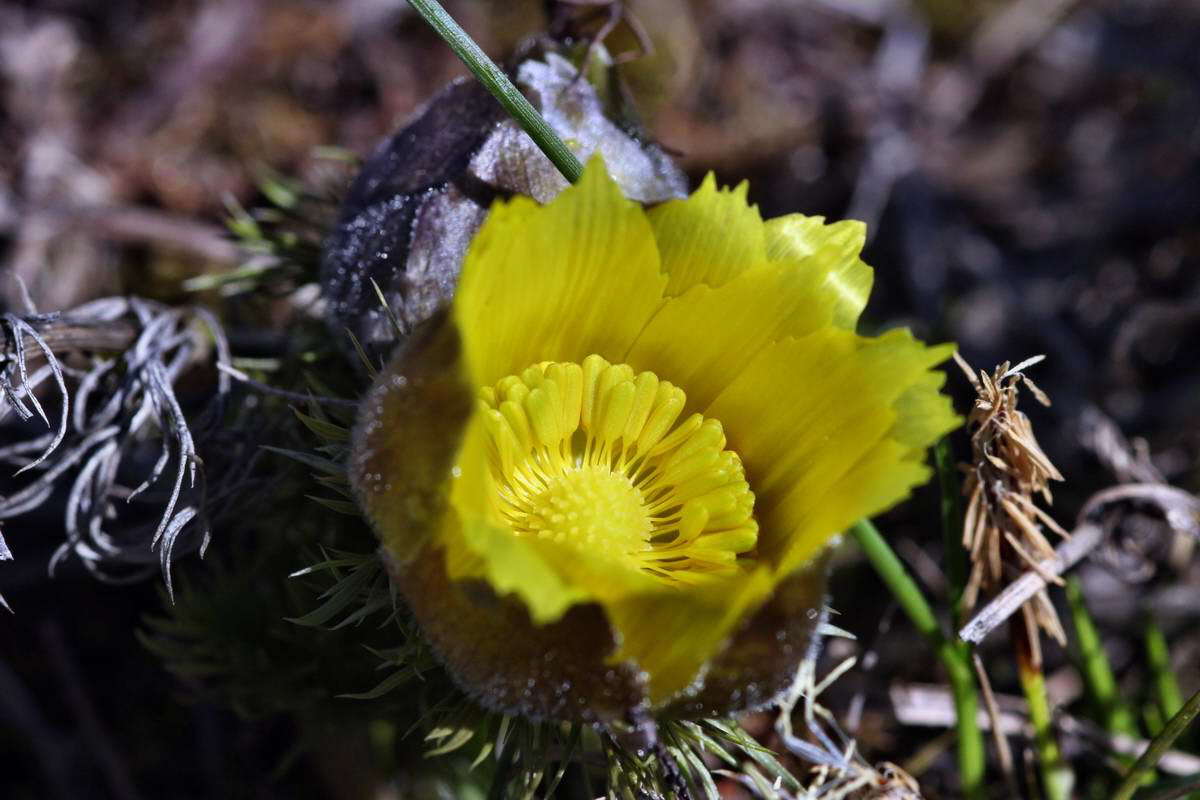 IMG_2013_04_15_00008023_phm2_Bildgr��e �ndern