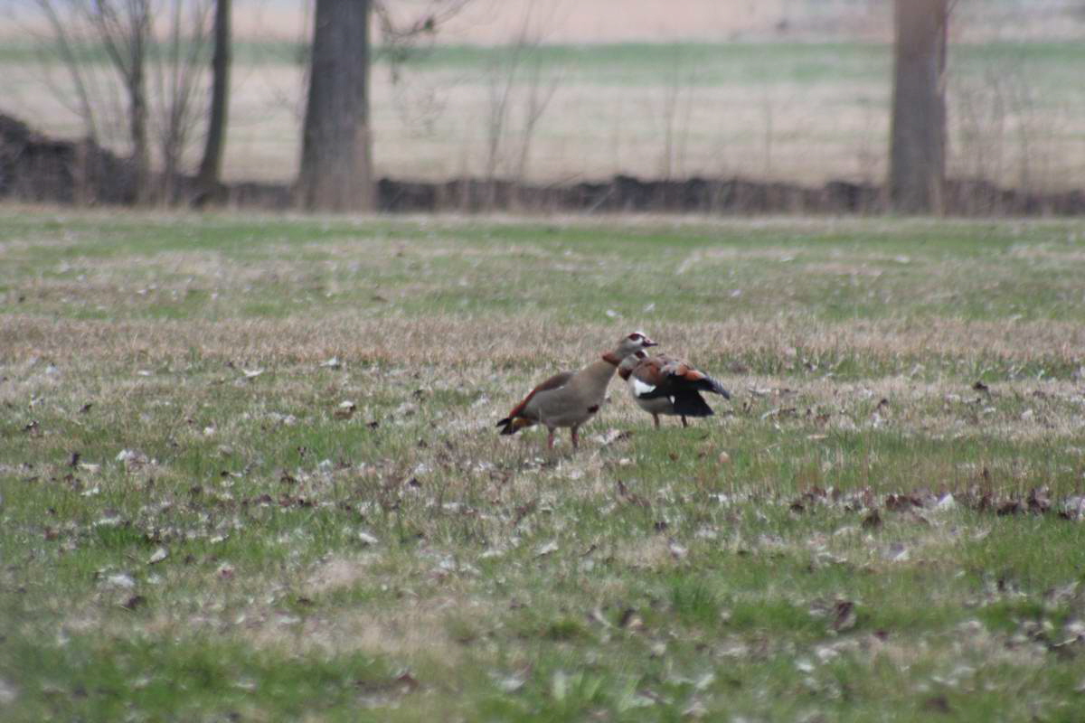 IMG_2013_04_17_00008114_phm2_Bildgr��e �ndern