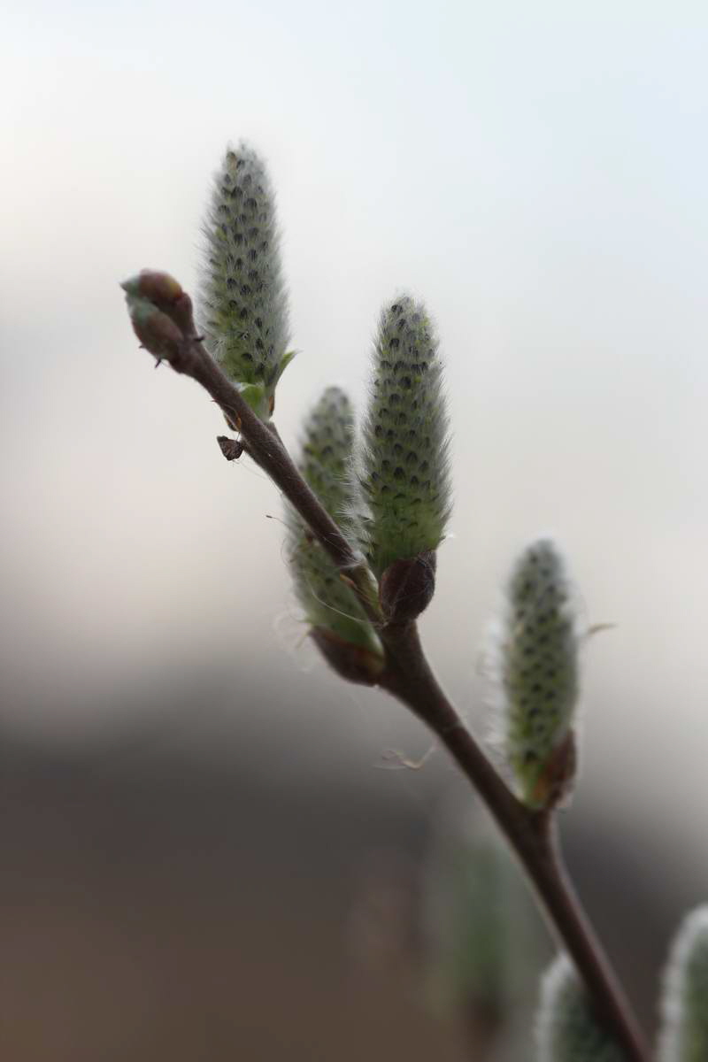 IMG_2013_04_17_00008206_phm2_Bildgr��e �ndern