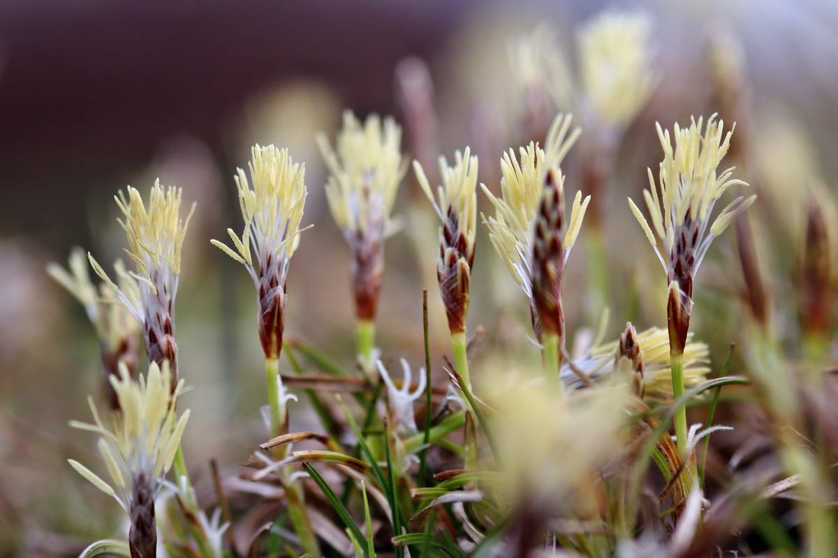 IMG_2013_04_17_00008222_phm2_Bildgr��e �ndern