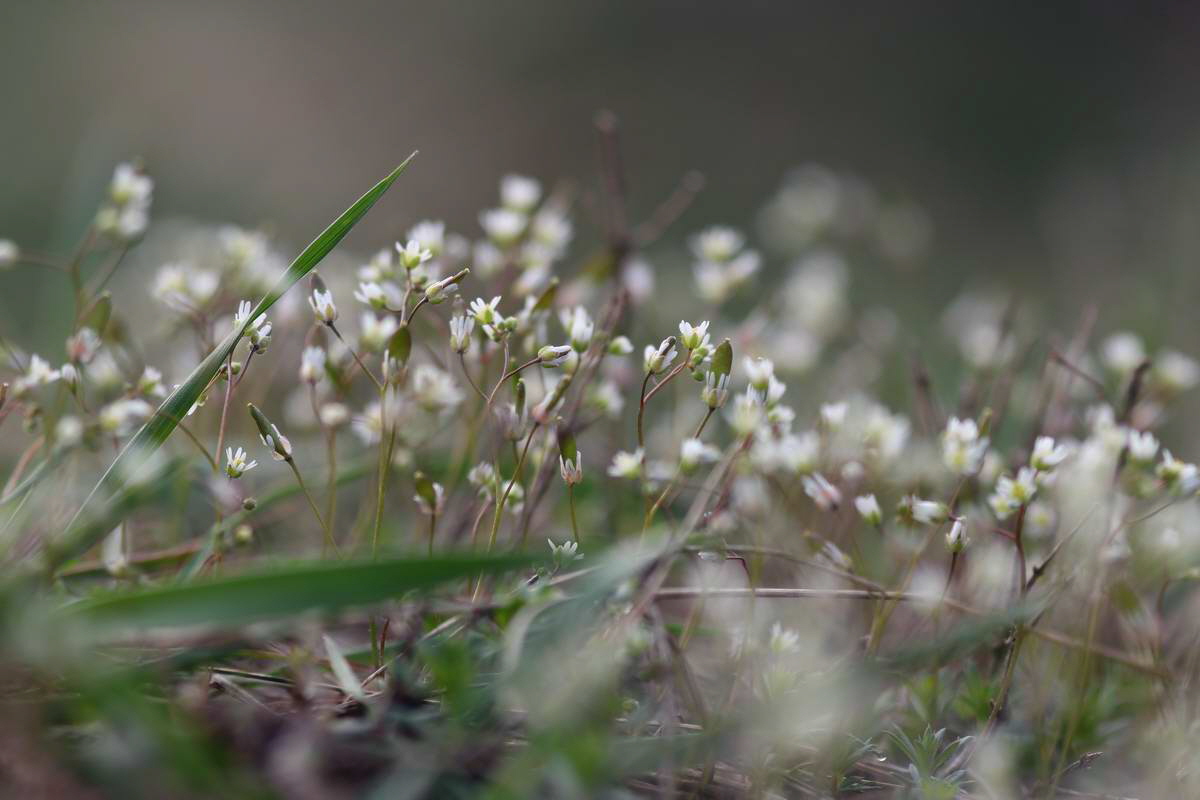 IMG_2013_04_17_00008229_phm2_Bildgr��e �ndern