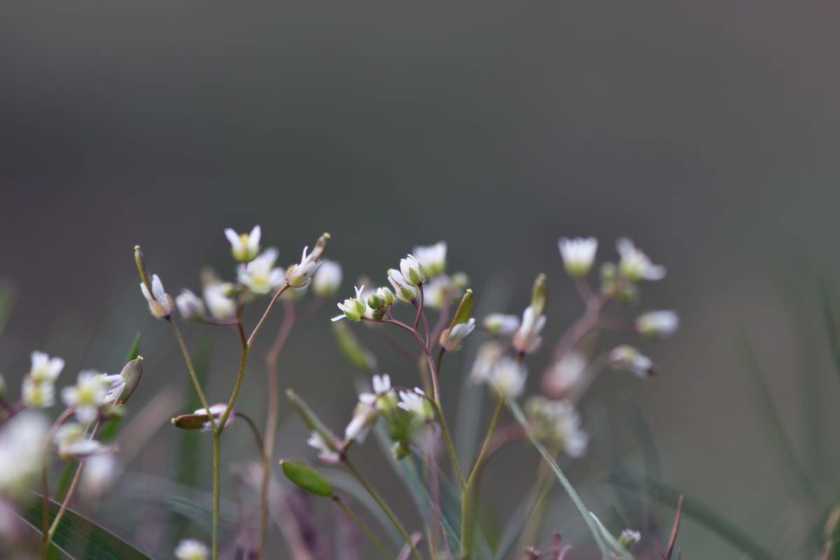 IMG_2013_04_17_00008232_phm2_Bildgr��e �ndern