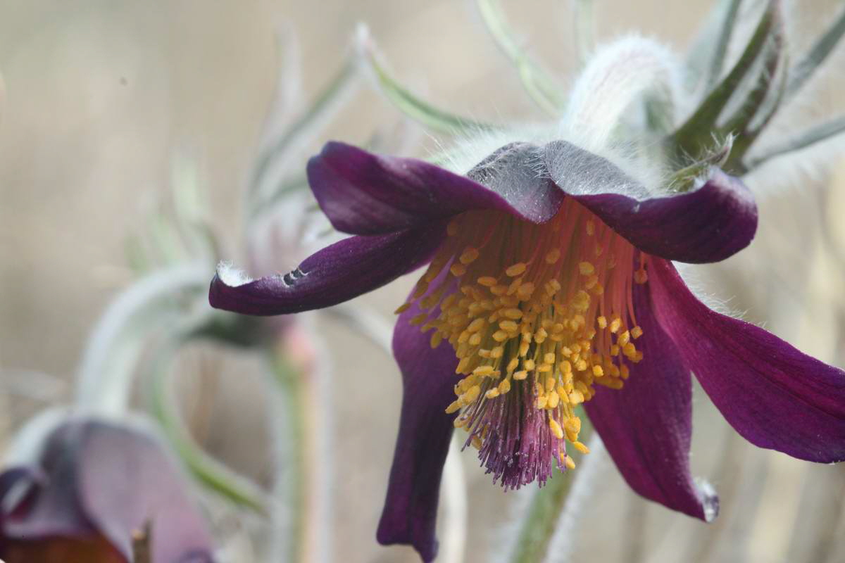 IMG_2013_04_17_00008246_phm2_Bildgr��e �ndern