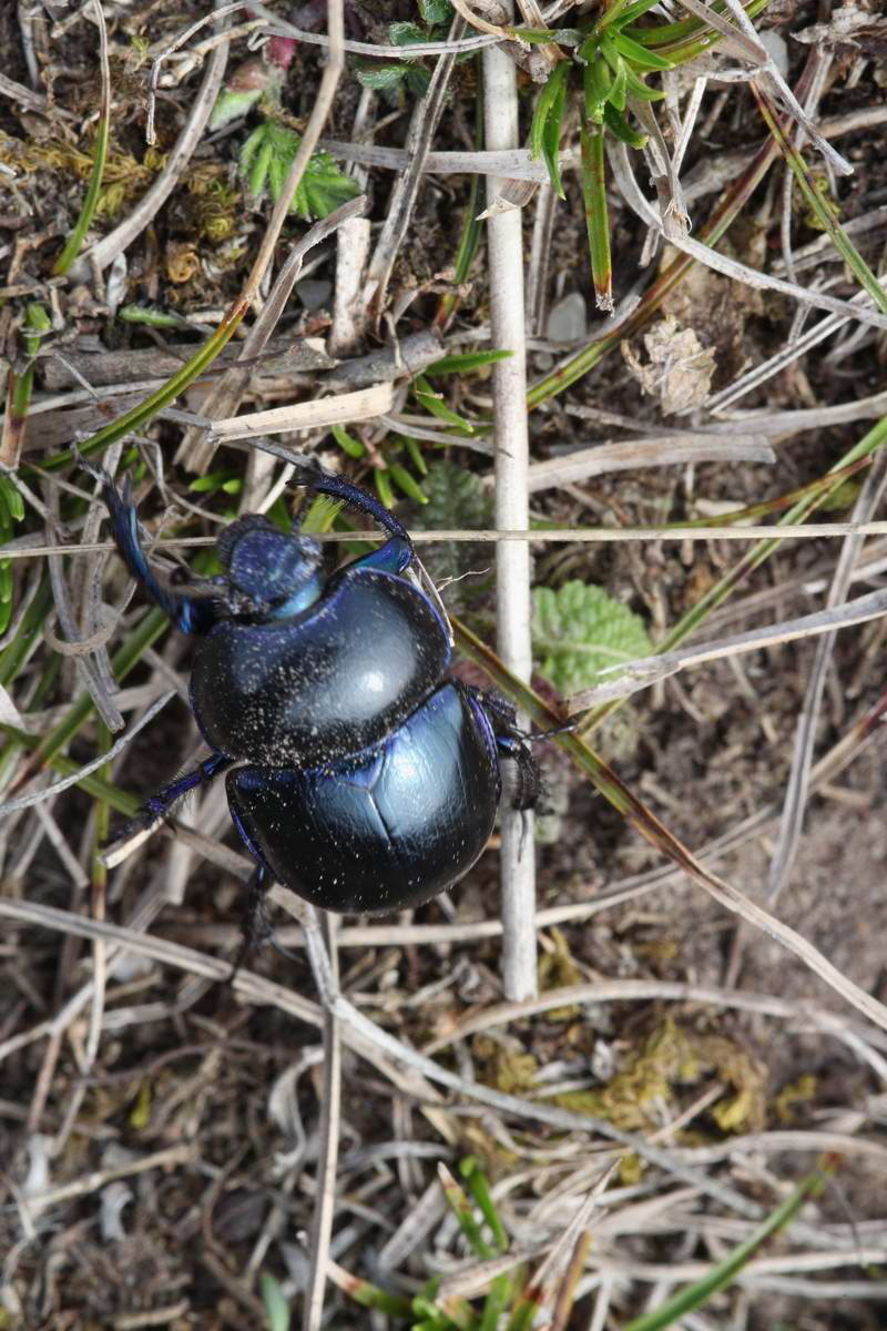 IMG_2013_04_17_00008295_phm2_Bildgr��e �ndern