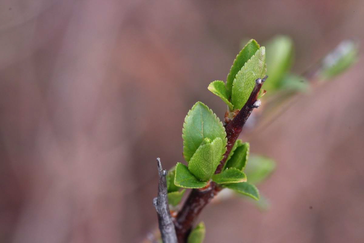 IMG_2013_04_17_00008385_phm2_Bildgr��e �ndern