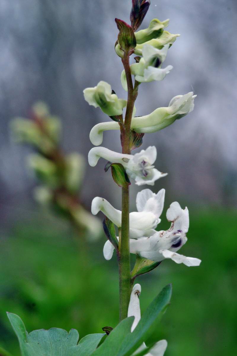 IMG_2013_04_17_00008511_phm2_Bildgr��e �ndern