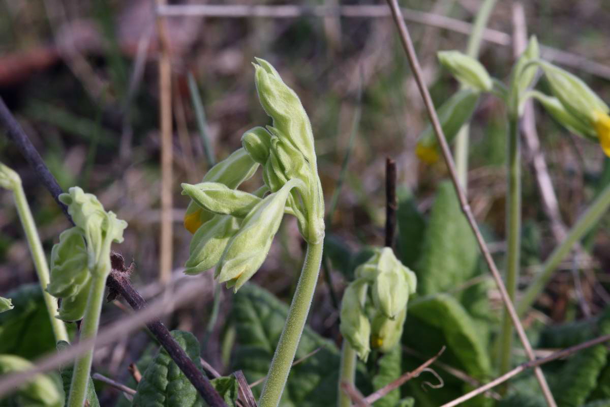 IMG_2013_04_18_00008525_phm2_Bildgr��e �ndern