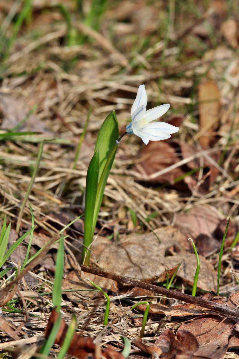 IMG_2013_04_18_00008537_phm2_Bildgr��e �ndern