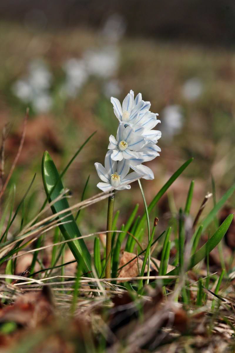 IMG_2013_04_18_00008539_phm2_Bildgr��e �ndern