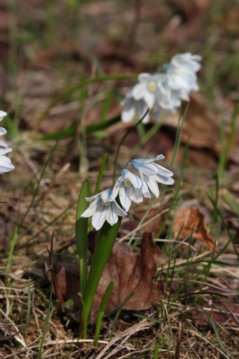 IMG_2013_04_18_00008543_phm2_Bildgr��e �ndern