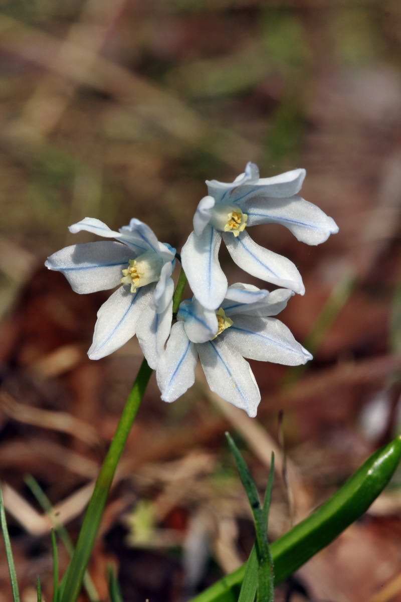 IMG_2013_04_18_00008548_phm2_Bildgr��e �ndern