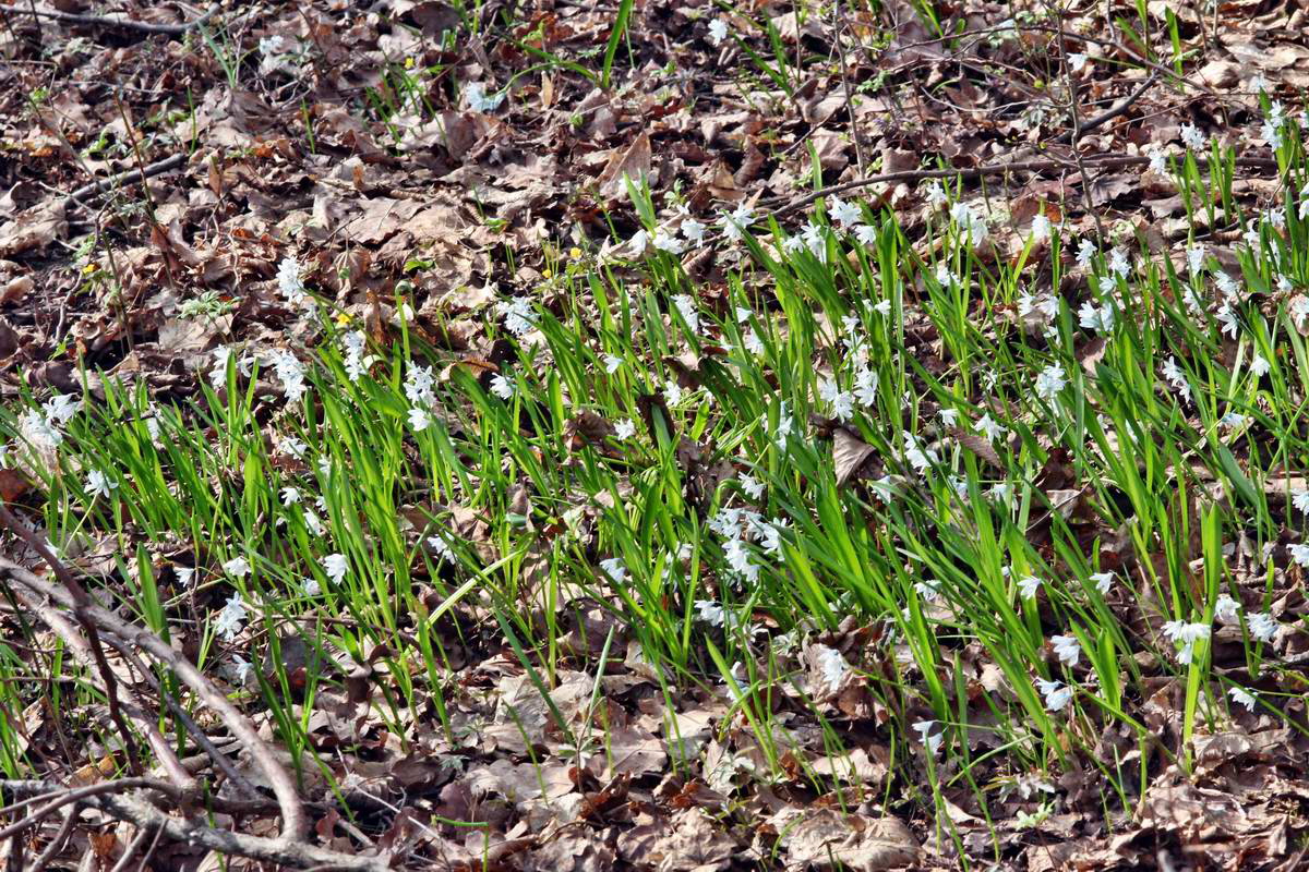 IMG_2013_04_18_00008557_phm2_Bildgr��e �ndern