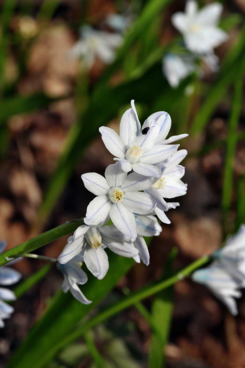 IMG_2013_04_18_00008577_phm2_Bildgr��e �ndern