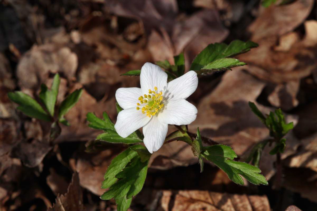 IMG_2013_04_18_00008585_phm2_Bildgr��e �ndern