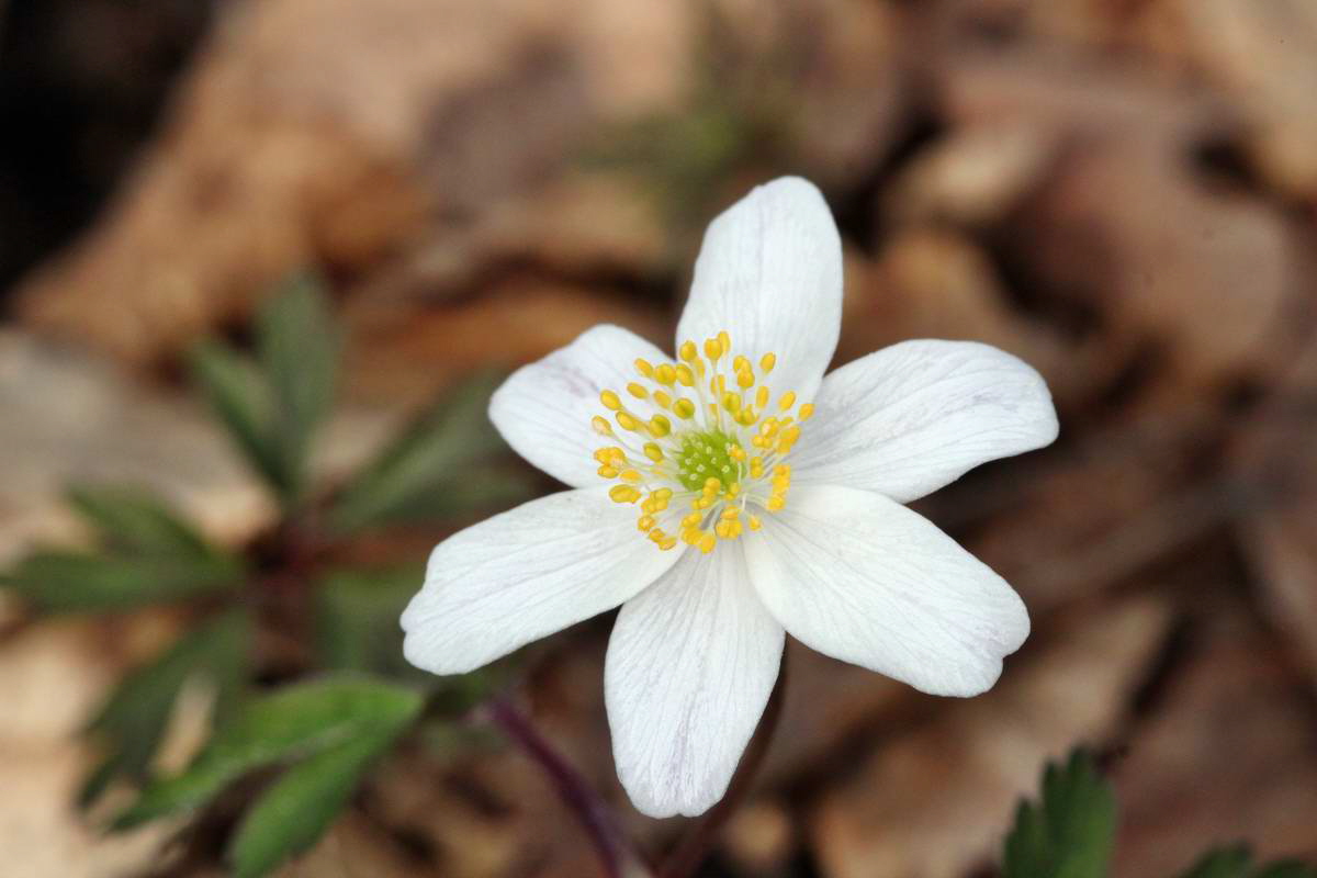 IMG_2013_04_18_00008590_phm2_Bildgr��e �ndern