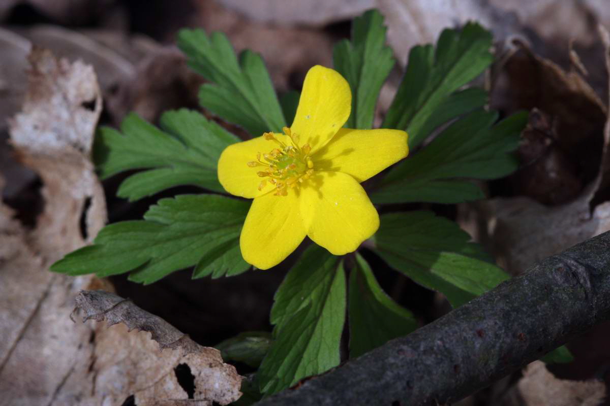 IMG_2013_04_18_00008595_phm2_Bildgr��e �ndern