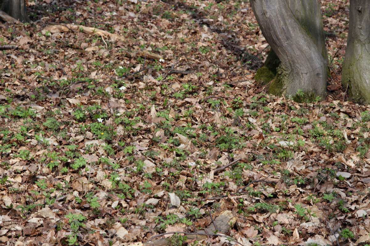 IMG_2013_04_18_00008598_phm2_Bildgr��e �ndern