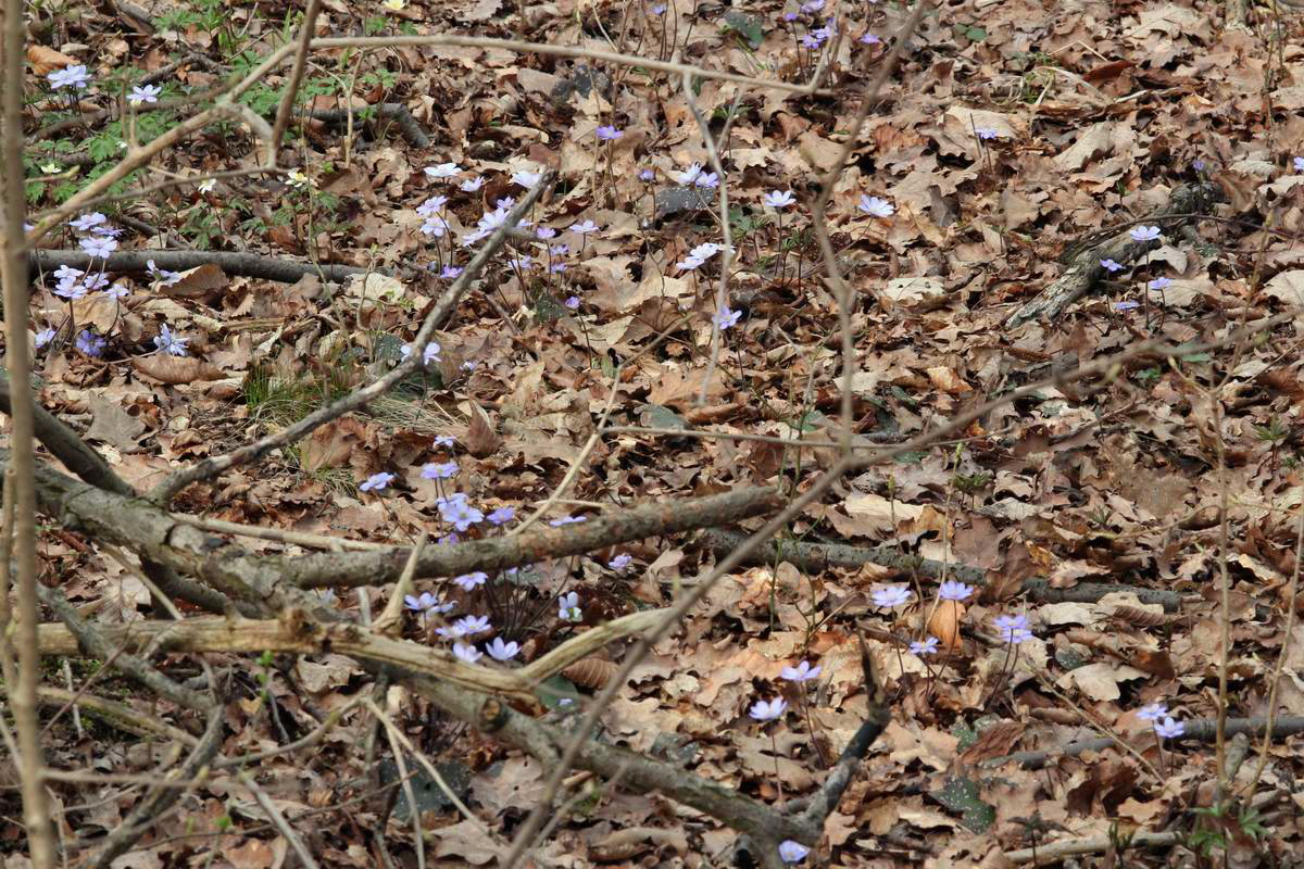 IMG_2013_04_18_00008616_phm2_Bildgr��e �ndern