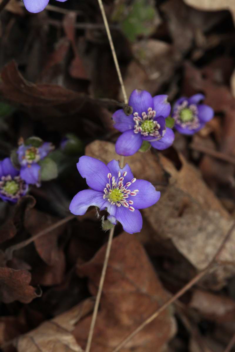 IMG_2013_04_18_00008651_phm2_Bildgr��e �ndern