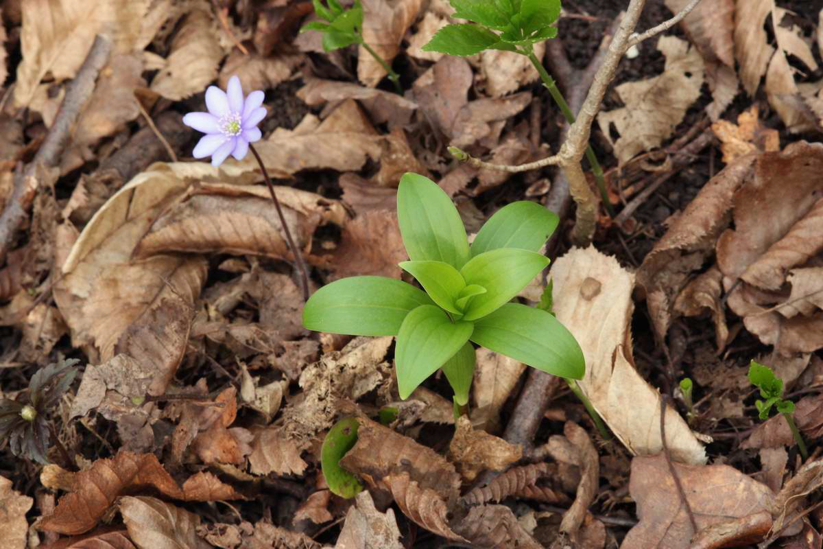 IMG_2013_04_18_00008690_phm2_Bildgr��e �ndern