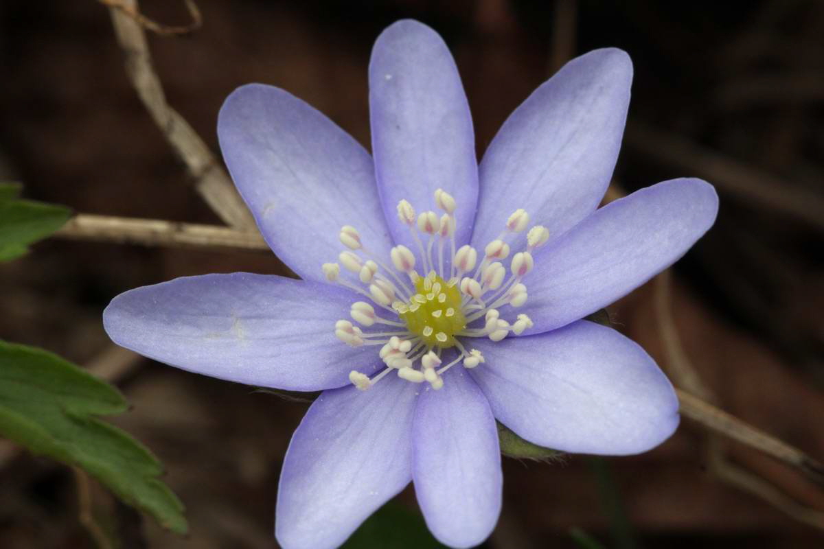 IMG_2013_04_18_00008716_phm2_Bildgr��e �ndern