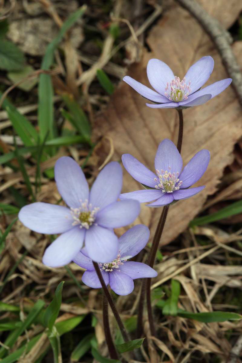 IMG_2013_04_18_00008719_phm2_Bildgr��e �ndern