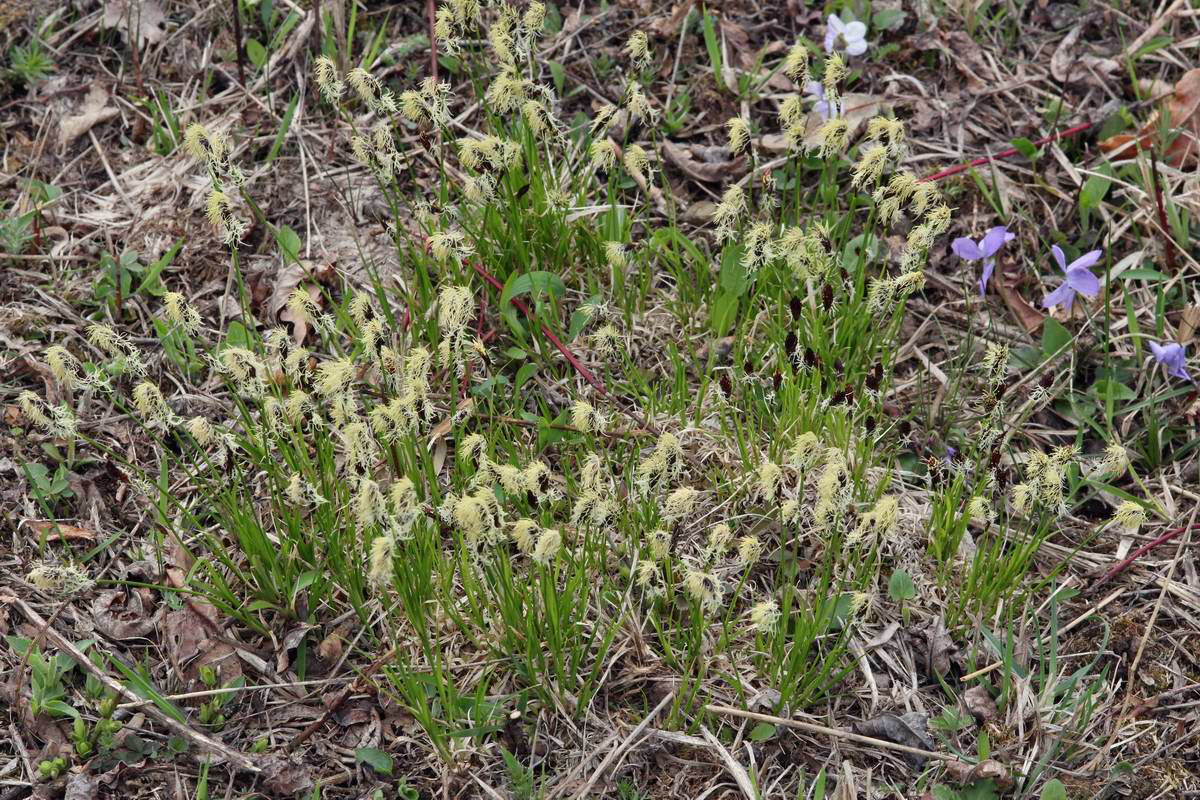 IMG_2013_04_18_00008727_phm2_Bildgr��e �ndern