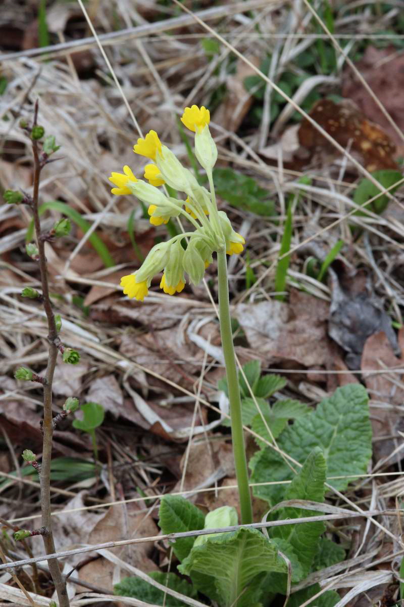 IMG_2013_04_18_00008803_phm2_Bildgr��e �ndern