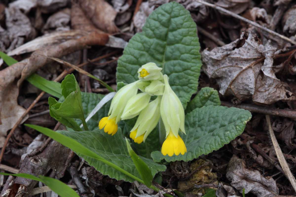 IMG_2013_04_18_00008812_phm2_Bildgr��e �ndern