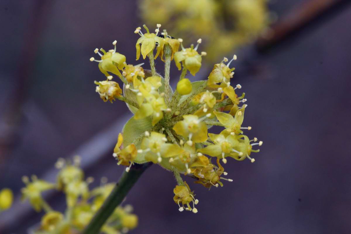 IMG_2013_04_18_00008852_phm2_Bildgr��e �ndern