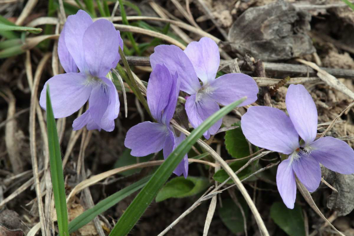 IMG_2013_04_18_00008859_phm2_Bildgr��e �ndern