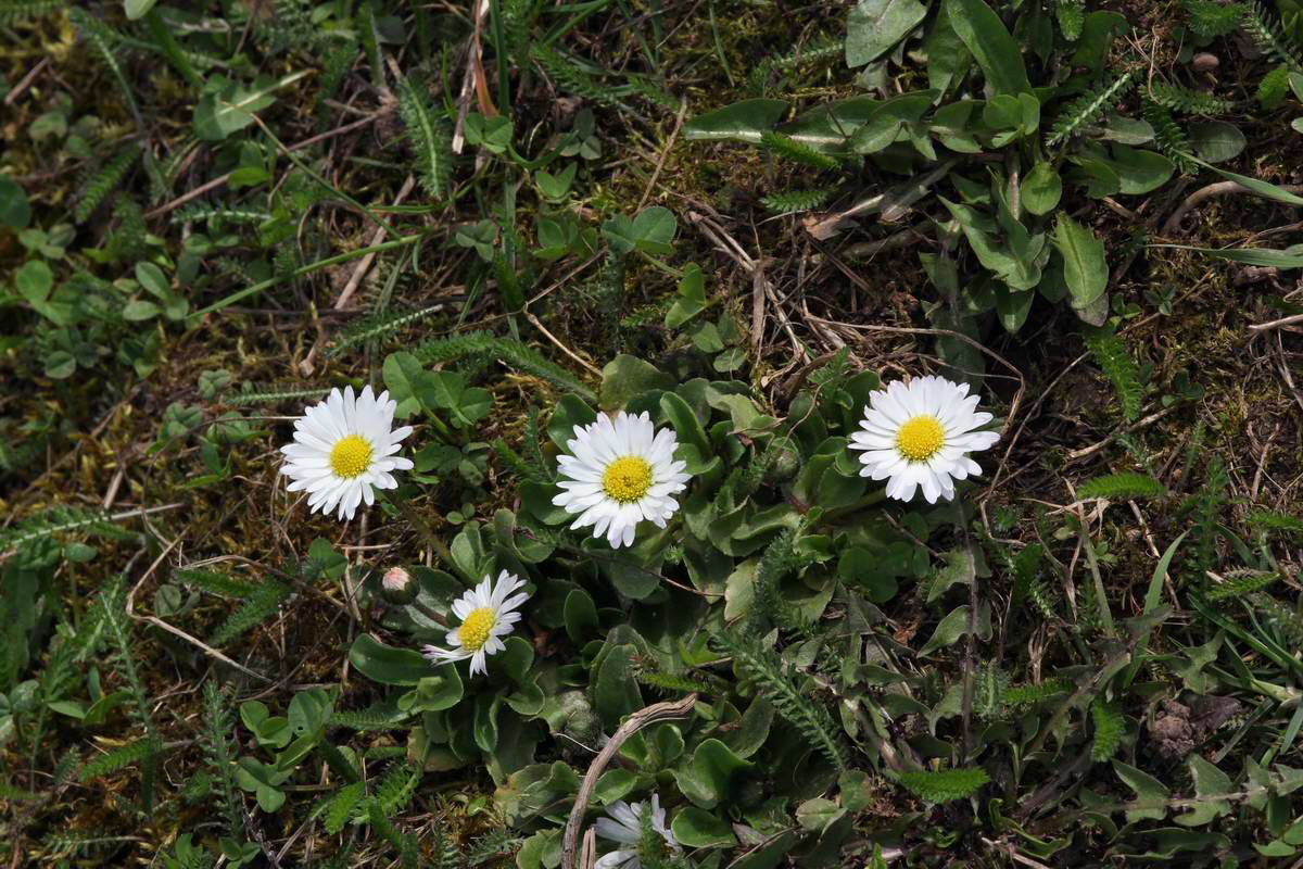 IMG_2013_04_18_00008879_phm2_Bildgr��e �ndern