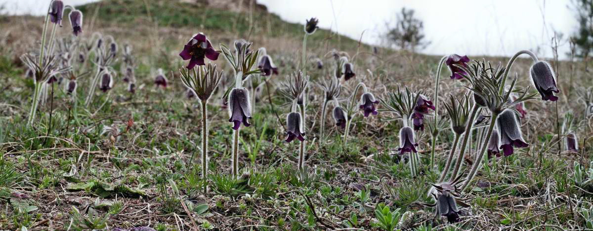 [pano10]-IMG_2013_04_22_00008697_IMG_2013_04_22_00008700-2 images_2_Bildgr��e �ndern