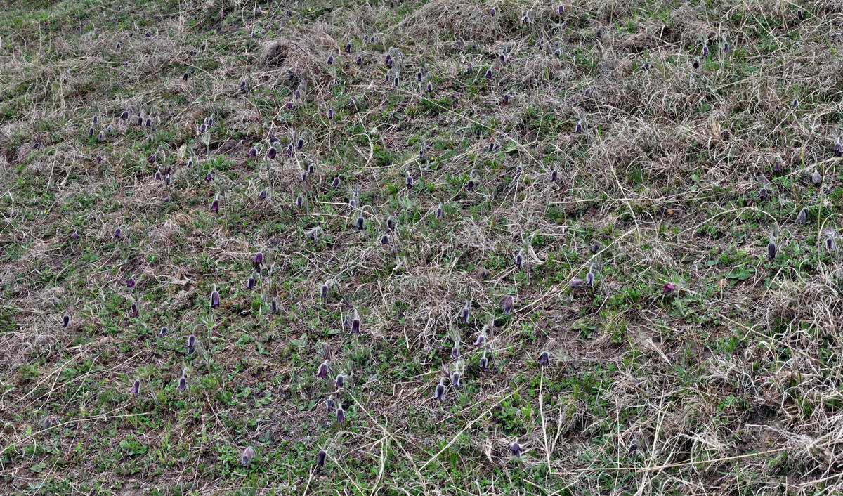 [pano10]-IMG_2013_04_22_00008706_IMG_2013_04_22_00008710-3 images_2_Bildgr��e �ndern