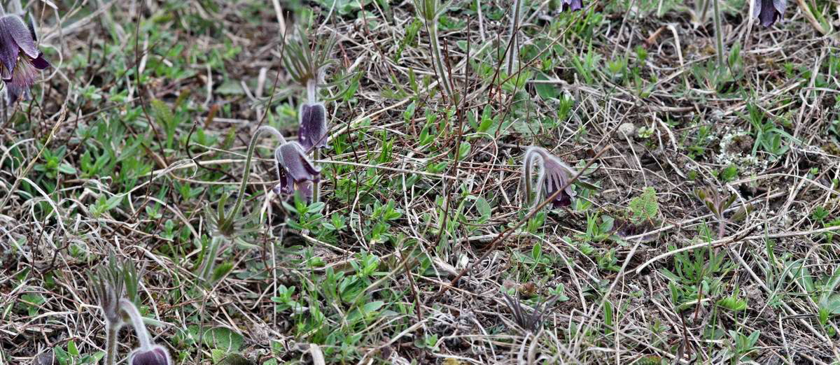 [pano11]-IMG_2013_04_22_00008643_IMG_2013_04_22_00008645-2 images_2_Bildgr��e �ndern