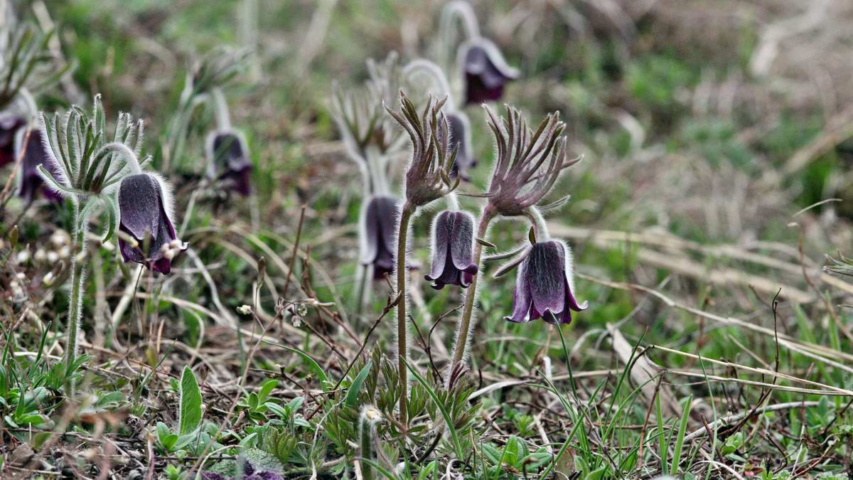 [pano11]-IMG_2013_04_22_00008672_IMG_2013_04_22_00008675-2 images_2_Bildgr��e �ndern