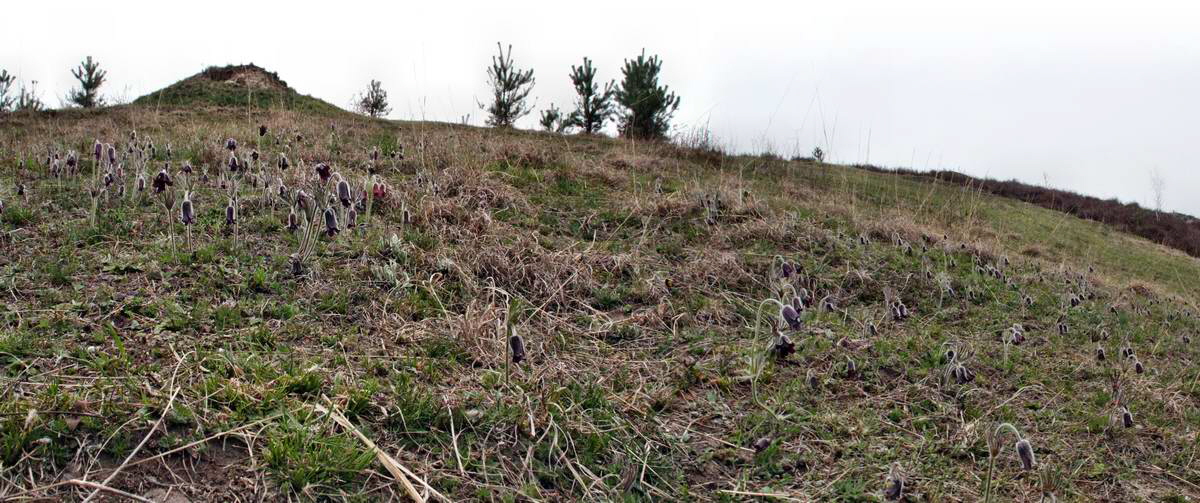 [pano8]-IMG_2013_04_22_00008725_IMG_2013_04_22_00008739-11 images_2_Bildgr��e �ndern