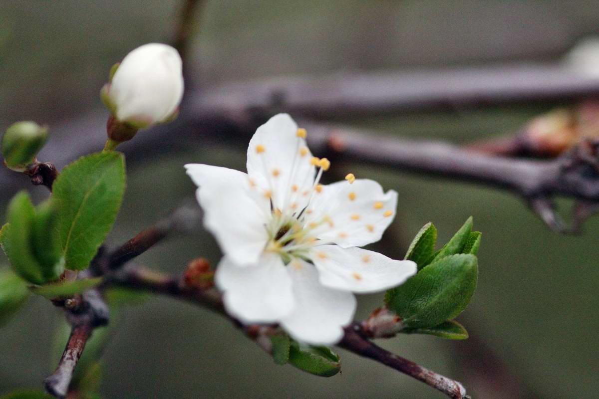 IMG_2013_04_22_00008599_2_Bildgr��e �ndern