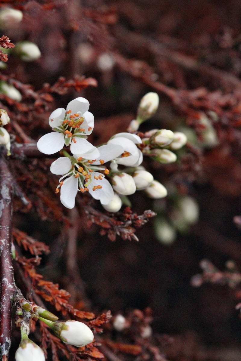 IMG_2013_04_22_00008602_2_Bildgr��e �ndern